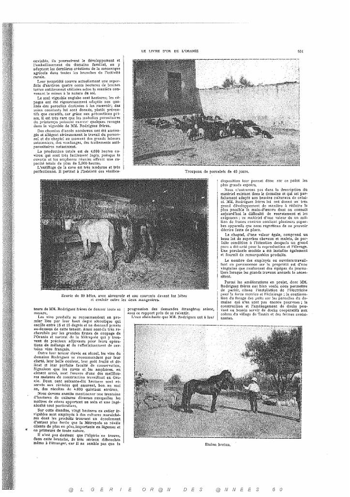 LIVRE D OR DE L ORANIE_000090.jpg